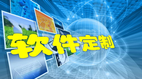 智能化儀表信息發布助手 專業軟件開發方案