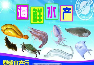 海鮮水產(chǎn) 從海洋到餐桌的珍饈美味