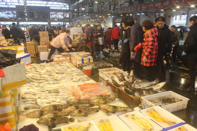 名成集鮮綜合水產(chǎn)品交易區(qū)首屆年貨節(jié) 水產(chǎn)品盛宴開(kāi)啟