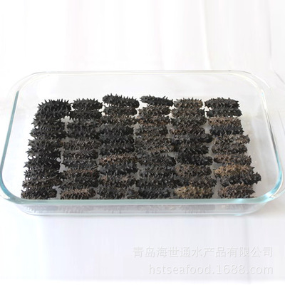 青島廠家特價批發(fā)進口野生純淡干6排刺紅參 高品質干制水產品的首選