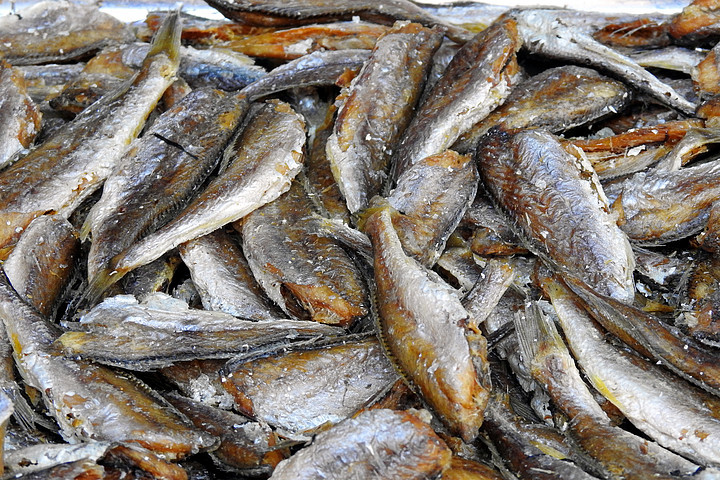 海鮮水產(chǎn) 營養(yǎng)與美味的海洋饋贈(zèng)