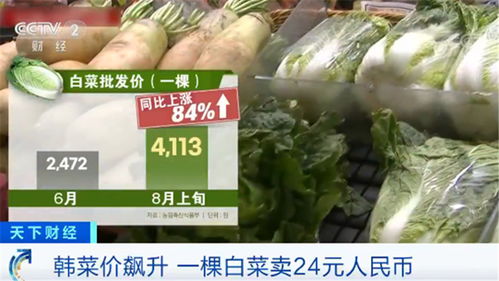 韓國民眾叫苦不迭 菜價(jià)水產(chǎn)品價(jià)格一路飆升，生活壓力陡增