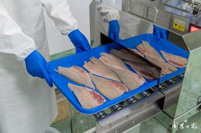 開辟“預制菜”新賽道，大黃魚游向水產品市場藍海